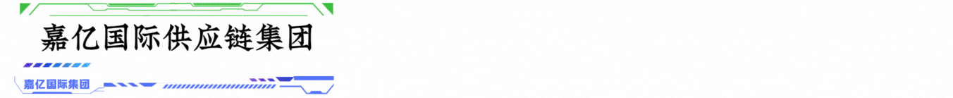 广西嘉亿国际供应链集团有限公司-嘉亿国际供应链集团